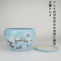 陶器鉢 セラミック 円形の丸い 植木鉢 おしゃれ 陶器 底穴あり 受け 皿付き プラントポット 陶器 鉢植え 部屋 飾りプランター (S レッド2)_画像4