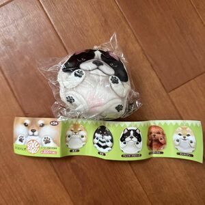 GYUGYU犬 フレンチブルドッグ フレブル チャーム ガチャ