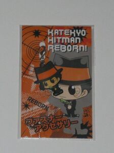 [ Katekyo Hitman REBORN!] fastener accessory / Reborn 