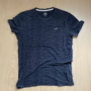 半袖Tシャツ Hollister