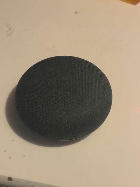 google home