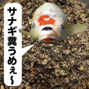 錦鯉に最適 乾燥サナギ（フレークタイプ）1kg 浮上性 冬眠明けの栄養補給に最適な餌