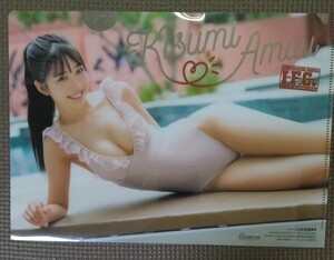 天羽希純 ヤングチャンピオン クリアファイル 新品 未使用品 限定品 水着 グラビアアイドル 巨乳