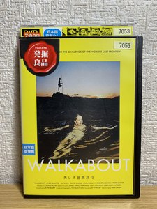 美しき冒険旅行 DVD