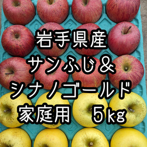 岩手県産　りんご　サンふじ　シナノＧ　20玉　詰め合わせ