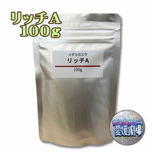 科学飼料研究所 リッチA 100g めだかのエサ【Verandaめだか】