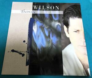 LP●Brian Wilson / Brian Wilson UK/EUROPEオリジナル盤 Sire 925 669