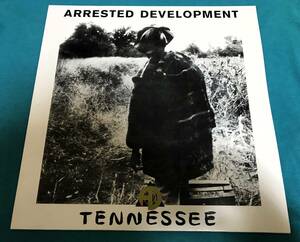 12”●Arrested Development / Tennessee USオリジナル盤 V 23787