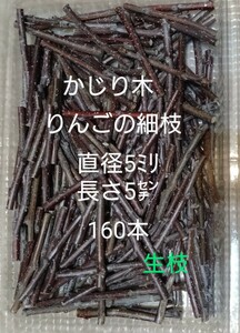 かじり木りんごのミニ細枝　160本　生枝