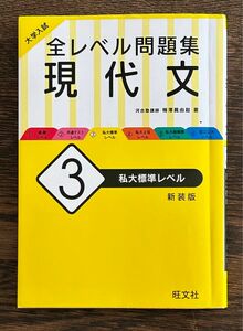 大学入試全レベル問題集現代文　３　新装版 （大学入試） 梅澤眞由起／著