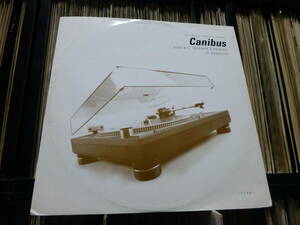 canibus/2000 bc/the c quell/mic nigicent/watch who you beef wit