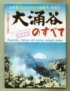 神奈川 箱根 大涌谷のすべて 8枚 ロープウェイ 富士山 カラー