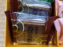 文明堂　栗饅頭　最中　カステラ巻　6味12点　いちご抹茶チョコプレーン_画像9