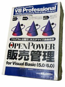 定価48,000円VB Professional VBプロフェッショナル open power オープンパワー 販売管理 フォービジュアルベーシック5.0 6.0 未開封