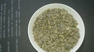 高級生豆 トラジャ　GRADE1 スペシャリティコーヒー １キロ