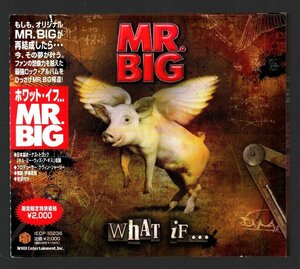 ■MR.BIG(ミスタービッグ)■オリジナル・アルバム■「ホワット・イフ(WHAT IF...)」■期間限定盤■品番:IECP-10236■2010/12/15発売■帯■