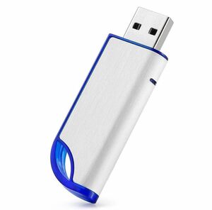 32GB FAT32 フォーマット USB 2.0 フラッシュドライブ USB
