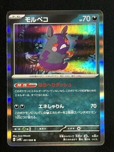 モルペコ　R　古代の咆哮　SV4K　ポケモンカード