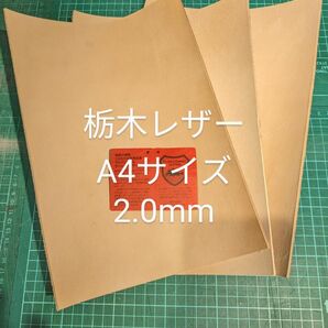 栃木レザー　ピットヌメ革　A4　2mm ナチュラル　３枚セット 