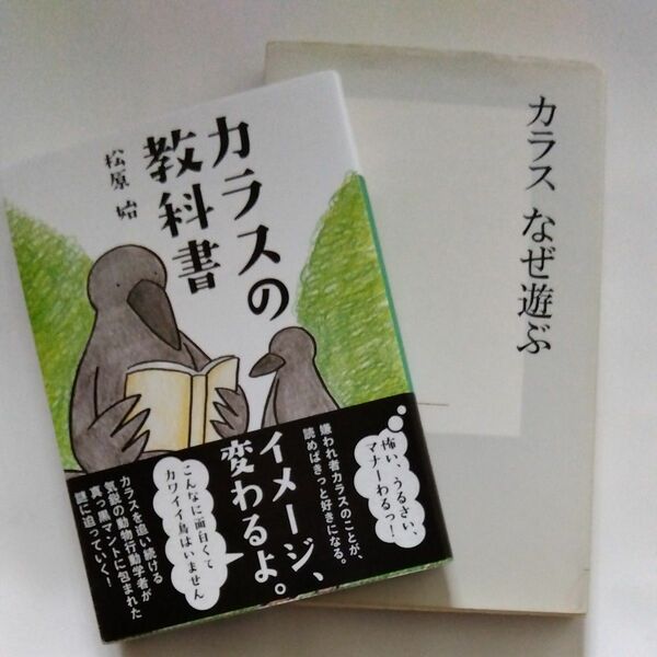 カラスの教科書、カラスなぜ遊ぶ　まとめて