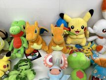 【現状】 ポケモンセンター グッズ まとめ売り サルノリ ヒバニー キモリ ナエトル ヌメルゴン ボスゴドラ ニンフィア 他 ぬいぐるみ 他_画像3