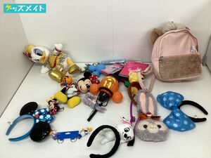 【現状】 ディズニー ディズニーリゾート限定 グッズ まとめ売り ぬいぐるみ キーホルダー リュック 他 生活臭あり