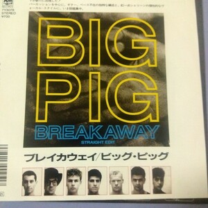 ビッグ　ピッグ　big pig ブレイカウェイ　break away 87年　ep 7inch オーストラリア　australia　ニューウェーブ　new wave 見本盤