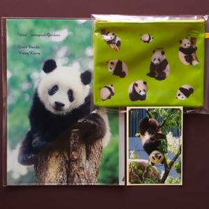 【香香】 パンダまにあ シャンシャン スペシャル ポーチ 上野動物園 公式 3ポケット クリアファイル 毎日パンダ ポストカード 