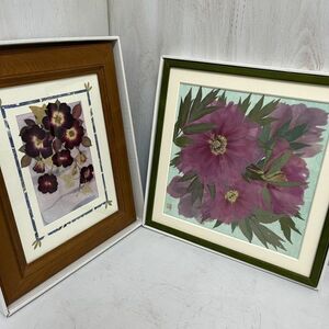  pressed flower amount /.... flower club / green amount / amount / picture frame / pressed flower / box attaching 2 sheets summarize beautiful 