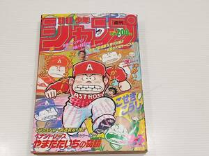 週刊少年ジャンプ 1991年 6月10日号 NO.25 やまだたいちの奇蹟 ドラゴンボール スラムダンク 魁!男塾 花の慶次 ジョジョの奇妙な冒険 