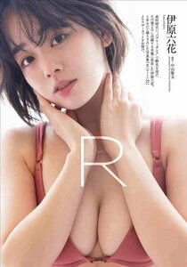 超セクシー かわいい 美人 水着下着 巨乳美脚美尻 イラストアート B2ポスター