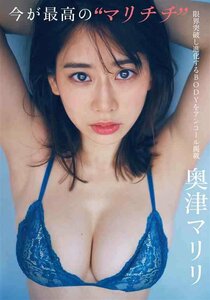 超セクシー かわいい 美人 水着下着 巨乳美脚美尻 イラストアート B2ポスター