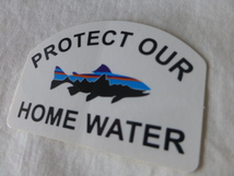 patagonia PROTECT OUR FITZROY TROUT HOME WATER ステッカー Fitzroy Trout フィッツロイ トラウト パタゴニア PATAGONIA patagonia_画像6