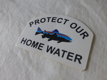 patagonia PROTECT OUR FITZROY TROUT HOME WATER ステッカー Fitzroy Trout フィッツロイ トラウト パタゴニア PATAGONIA patagonia_画像2