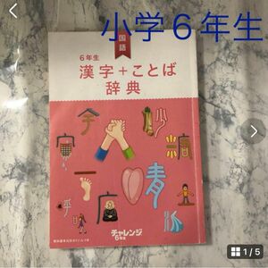 期間限定値下げ　ベネッセ　進研ゼミ　小学講座　小学6年生　漢字＋ことば辞典