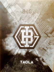 ◆B.I.G Digital Single 『TAOLA』 直筆サイン入り非売CD◆韓国