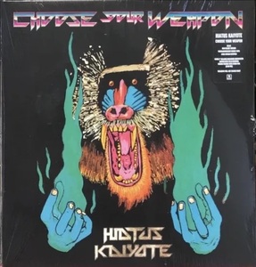 HIATUS KAIYOTE - CHOOSE YOUR WEAPON 未開封SEALED