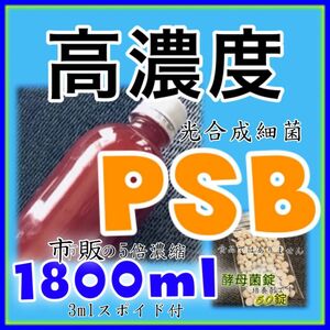 ☆ 高濃度 光合成細菌PSB種菌 1800ml 培養剤50錠　スポイド付　培養セット