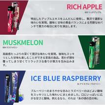 《新品☆送料無料》電子タバコ 使い捨て ポータブルシーシャ 大容量 VAPE SLASH スラッシュ CRASH GRAPE クラッシュグレープ_画像4