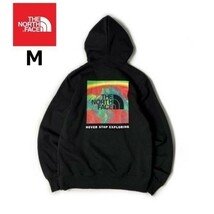 1円～!売切!【正規新品】THE NORTH FACE PRINTED BOX NSE HOODIE パーカー US限定 ボックスロゴ 裏起毛 キャンプ レインボー(M)黒181130-30_画像7