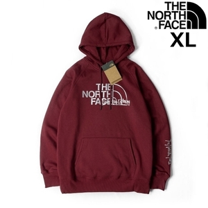 1円～!売切!【正規新品】THE NORTH FACE W GRAPHIC INJECTION HOODIE パーカー US限定 メタリックシルバー 裏起毛 男女兼用(XL)赤181130-23