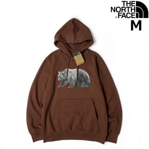 1円～!売切!【正規新品】THE NORTH FACE◆TNF BEAR PULLOVER HOODIE パーカー US限定 くま 熊 ビッグロゴ 裏起毛 男女兼用(M)茶 181130-30