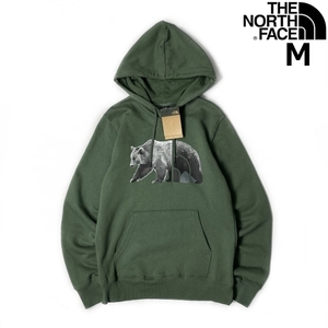 1円～!売切!【正規新品】THE NORTH FACE◆TNF BEAR PULLOVER HOODIE パーカー US限定 くま 熊 ビッグロゴ 裏起毛(M)カーキ 181130-30