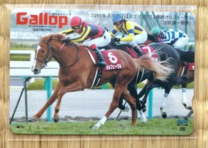 未使用 競馬 Gallop クオカード オルフェーヴル　スプリングS 池添謙一 ギャロップ クオカ クオ　QUO オルフェーブル orfevre 中央競馬