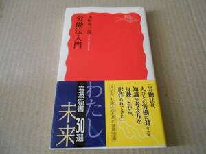 ◎労働法入門　水町勇一郎著　岩波新書　岩波書店　第4刷　帯付き　中古　同梱歓迎　送料185円　