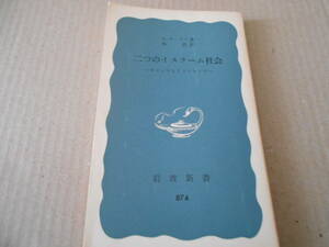 ◎二つのイスラーム社会　モロッコとインドネシア　C・ギーアツ著　岩波新書　岩波書店　1973年発行　第1刷　中古　同梱歓迎　送料185円　