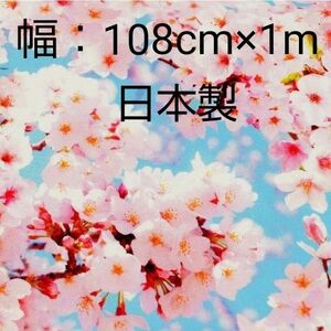 桜　リアルプリント　綿100% シーチング　108×1m　日本製