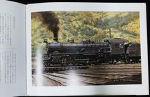 S122 戦後 昭和56年 歴史 鉄道資料【蒸気機関車時代 鉄道画集・黒岩保美 プレス.アイゼンバーン／蒸気機関車 テンダ・版画 水彩画／初版】_画像8