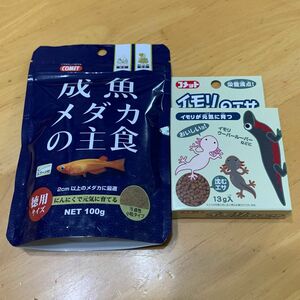 COMET(コメット)徳用成魚メダカの主食100g ＋ イモリ、ウーパールーパーのエサ13g