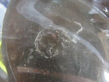 ガラス容器　　　　メダカ　金魚　ガラス水槽　 インテリア　店舗　置物　ガラス工芸 オブジェ　　テラリウム_画像4